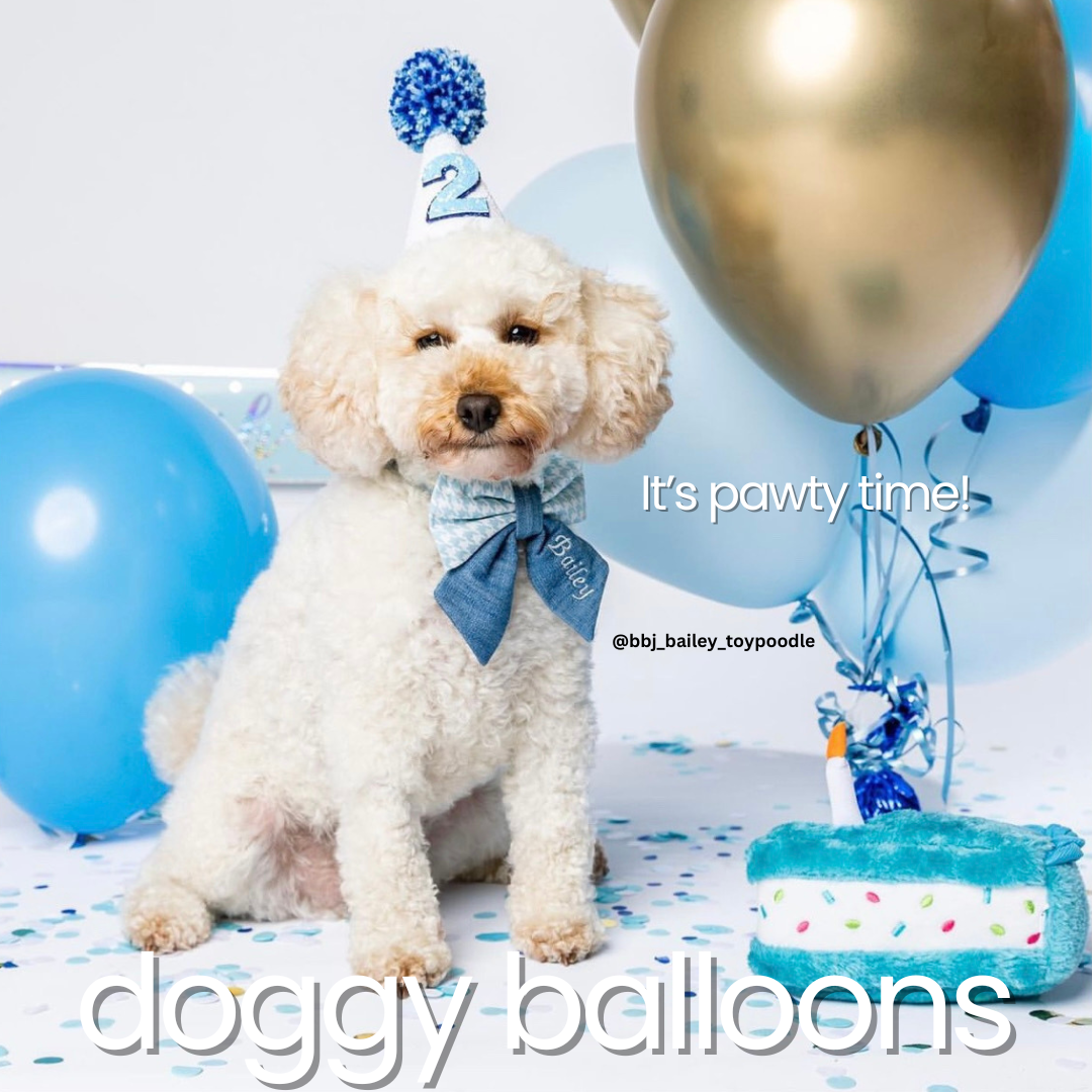 Dog Balloons - It's Pawty Time - special balloons for your best friend!