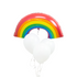Rainbow and Clouds Bouquet