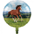 Horse and Pony Balloon