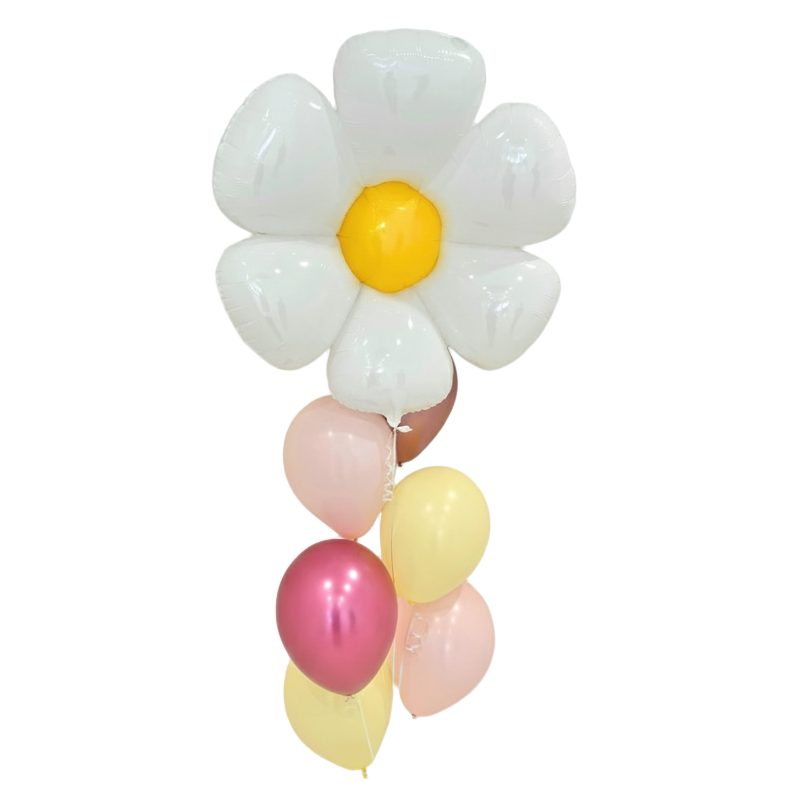 Daisy and 6 latex balloons