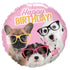 Happy Birthday Puppies Balloon – Cool Dogs with Glasses