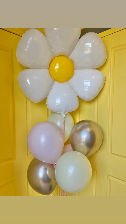 Daisy and 6 latex balloons