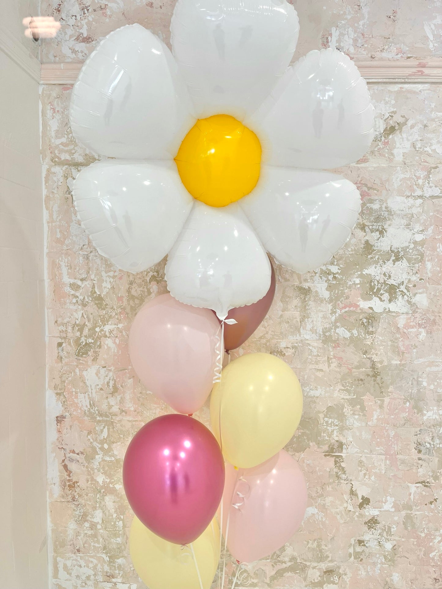 Daisy and 6 latex balloons